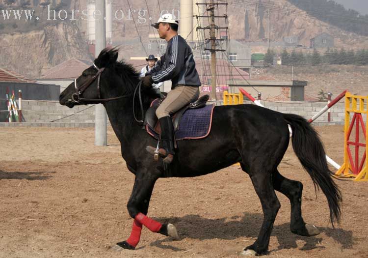 20070407青岛野骑踏青归来－最新照片更新