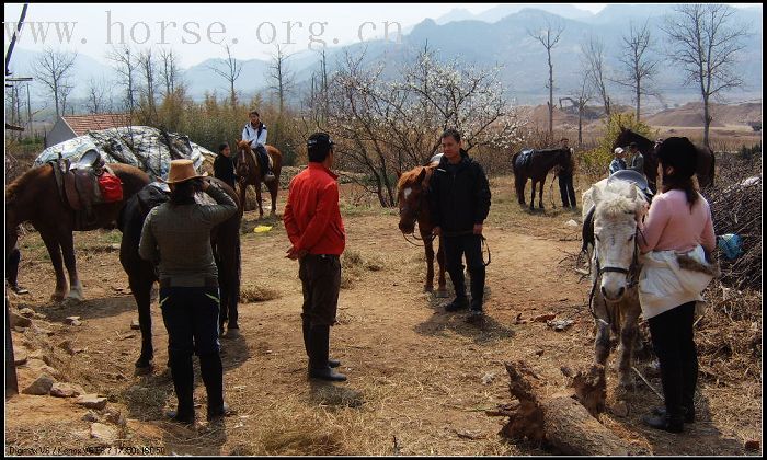邀请马盟的马友们青岛野骑踏青------本活动由青岛风凰山庄赞助支持!