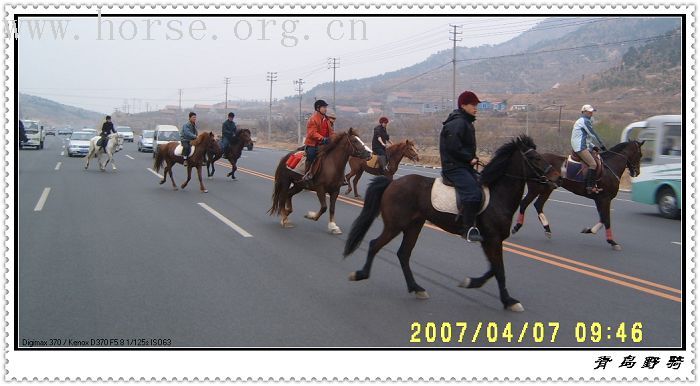 邀请马盟的马友们青岛野骑踏青------本活动由青岛风凰山庄赞助支持!