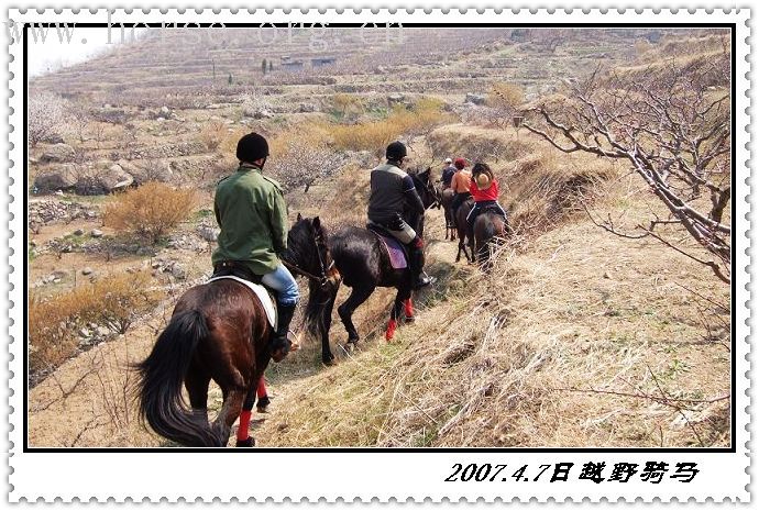邀请马盟的马友们青岛野骑踏青------本活动由青岛风凰山庄赞助支持!