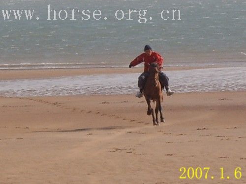 20070407青岛野骑踏青归来