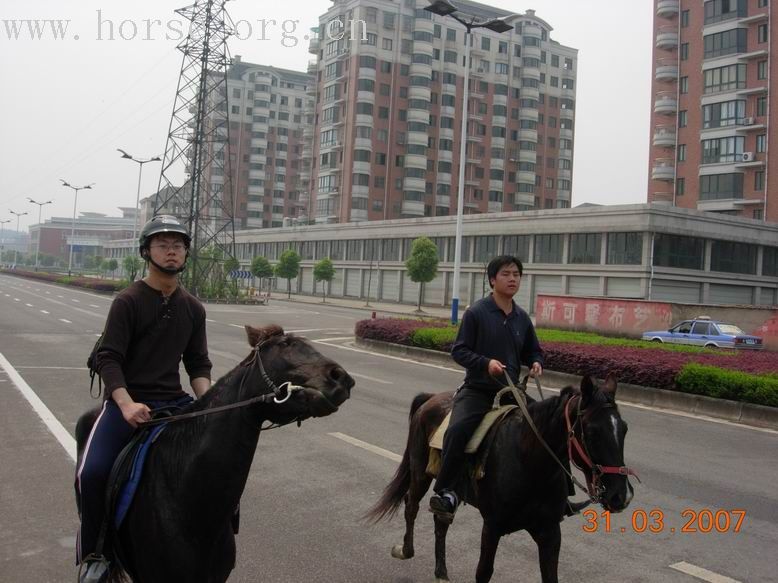 今天我们绕了武义县城一大圈