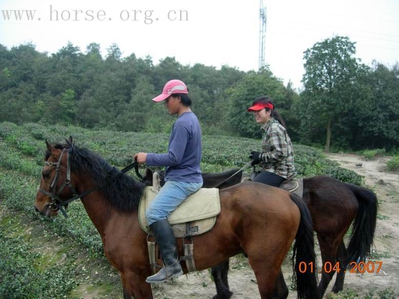 我们的野骑