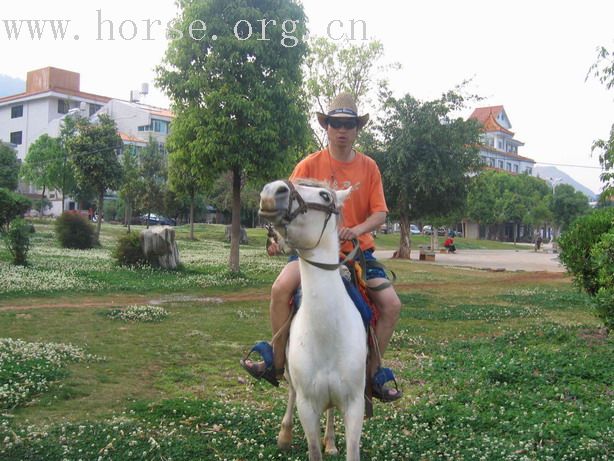 抚仙湖游玩~~无意中骑马小爽了一把!