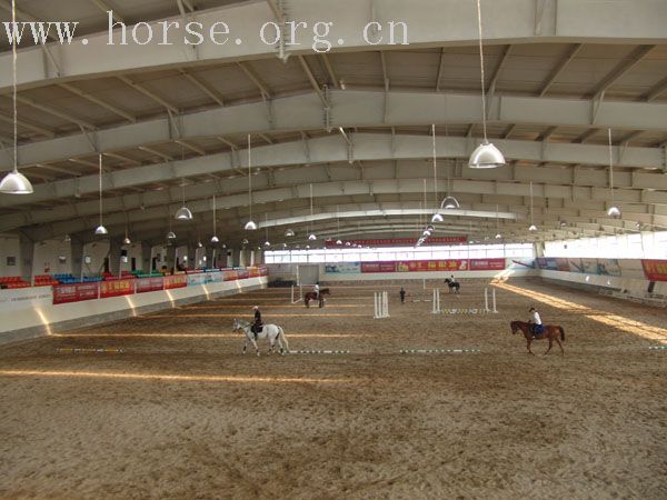 燕龙国际马业公司燕龙马术俱乐部因业务扩大招聘骑手！