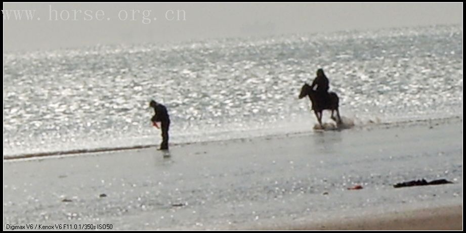 5月5日圆梦海边狂奔.......