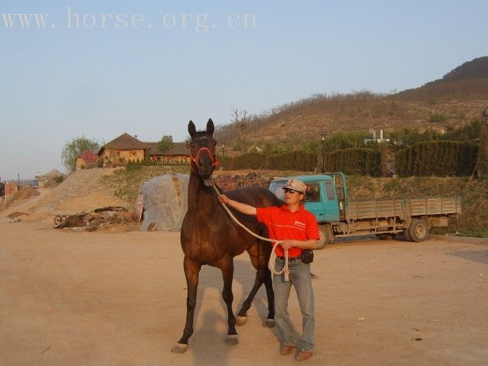 2007年第一次骑马