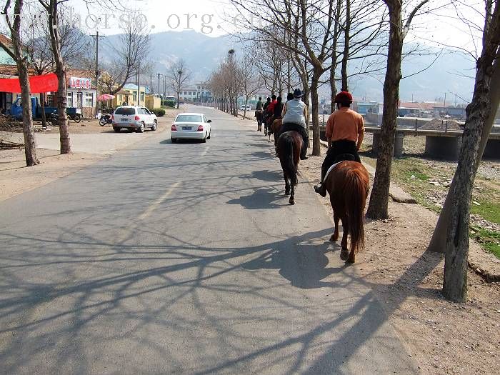 20070407青岛野骑踏青归来－－0425最新更新