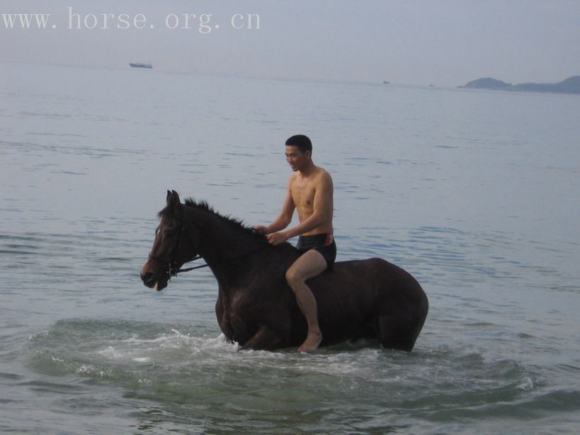 [贴图]有一种希望叫期待－－期待着青岛夏天海里骑马