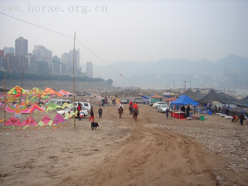 马场生存的路怎么就那么难