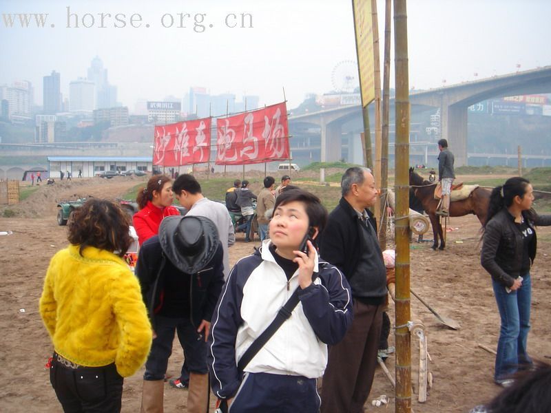 马场生存的路怎么就那么难