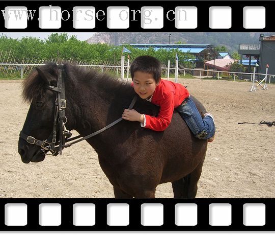 乐乐马上写真集-不断上传