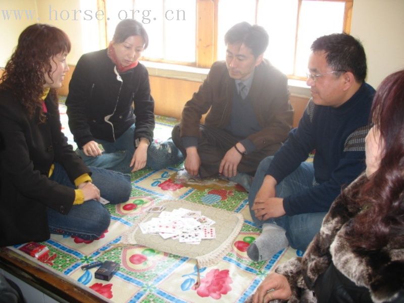 沈阳骑马\探险俱乐部活动  迟到的照片