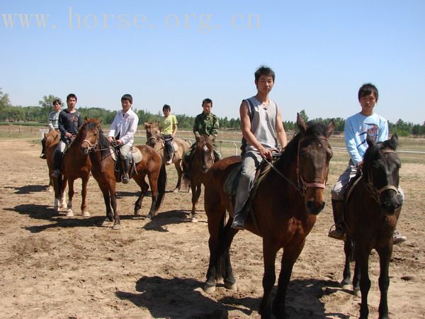在沙湖有这样一群爱马的年轻人