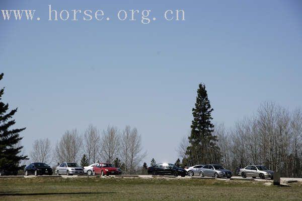 CANADA, WINNIPEG, BBQ&POLO CLUB