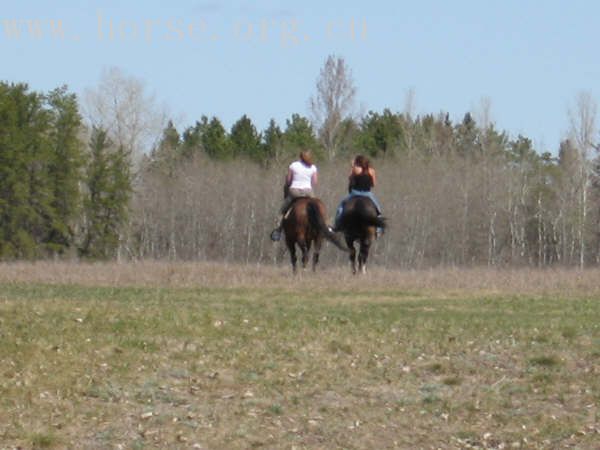 CANADA, WINNIPEG, BBQ&POLO CLUB