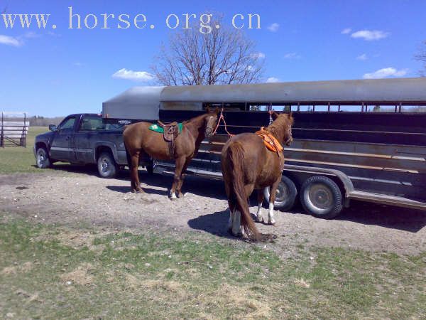 CANADA, WINNIPEG, BBQ&POLO CLUB