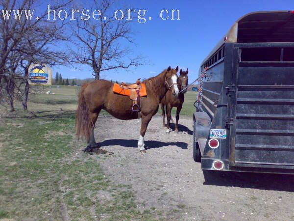 CANADA, WINNIPEG, BBQ&POLO CLUB