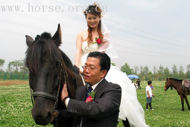 五一马场结婚照片