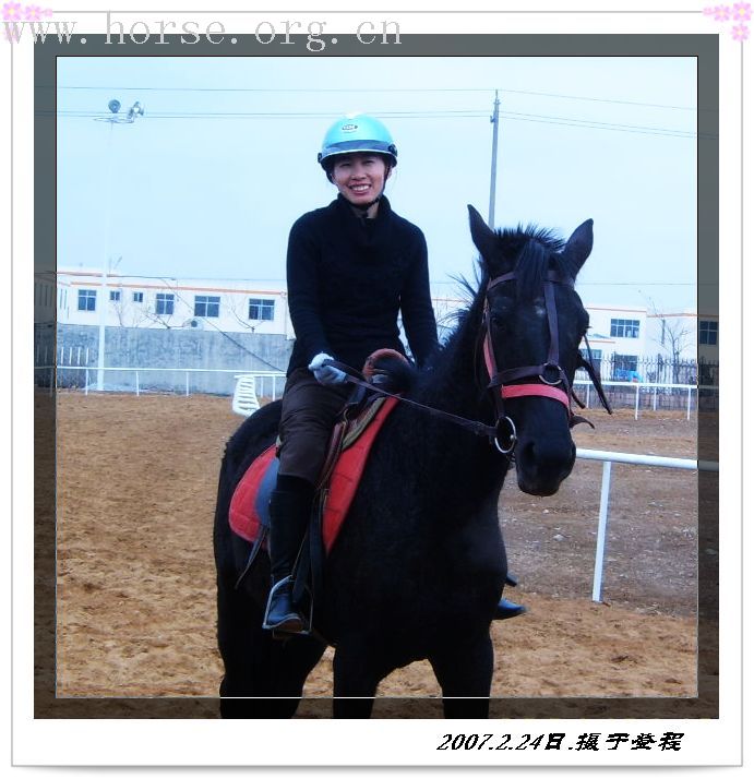 青岛登程马术俱乐部邀请你去骑马!