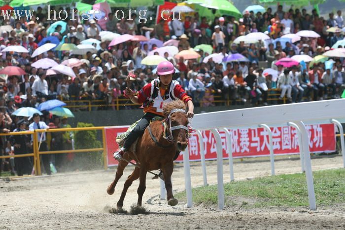 [贴图]体验千年三月街(07大理赛马节报道-2)