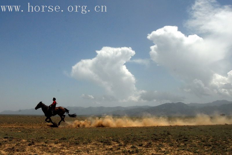 花海之约——新疆喀纳斯禾木空中花园之旅（二）伊犁察布查尔赛马