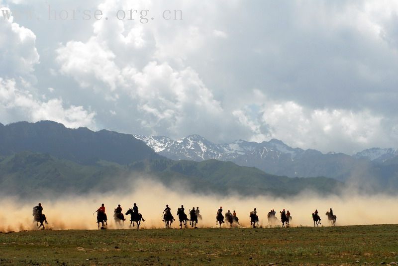 花海之约——新疆喀纳斯禾木空中花园之旅（二）伊犁察布查尔赛马
