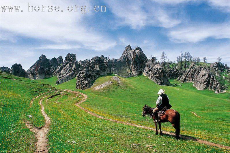 花海之约——新疆喀纳斯禾木空中花园之旅（三）怪石林