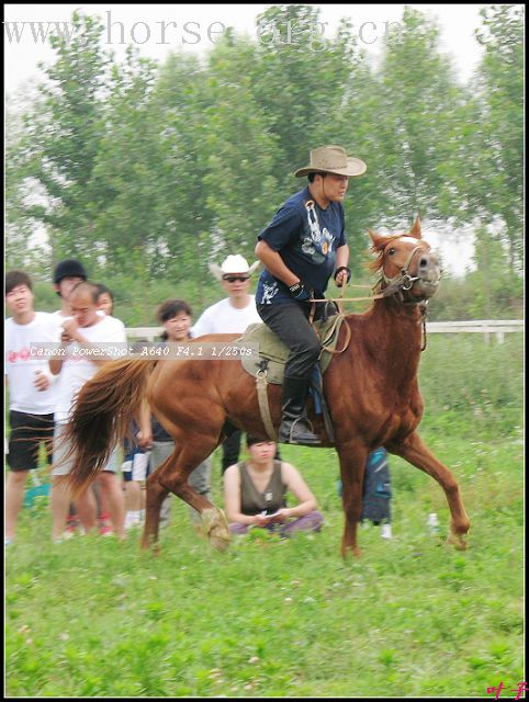 6.17富景马友联谊绕桶赛片断