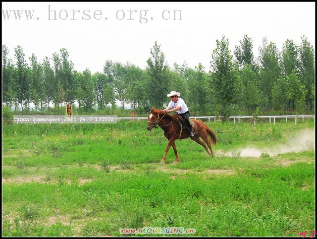 6.17富景马友联谊绕桶赛片断