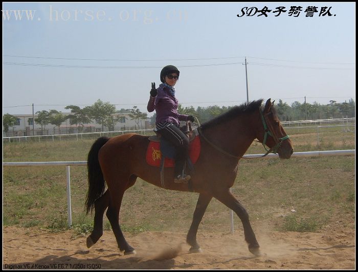 炎炎夏季骑马好去处，青岛登程马术俱乐部晚上灯光齐放，骑马好惬意！