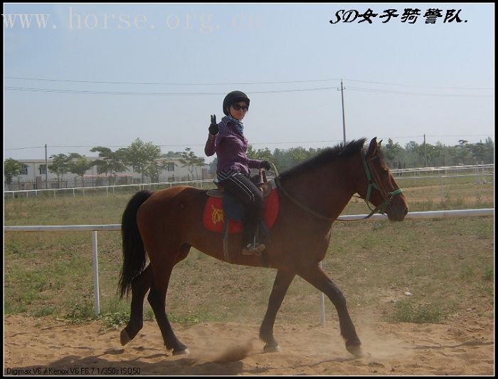 SD女子骑马专辑....