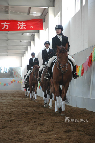 山东即墨德瑞马术俱乐部揭开神秘面纱--欢迎全国各地的马术爱好者的光临