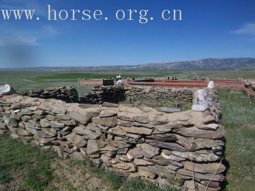 史上最全的新疆骑马穿越