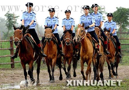 [注意]宁夏女子骑警队成立