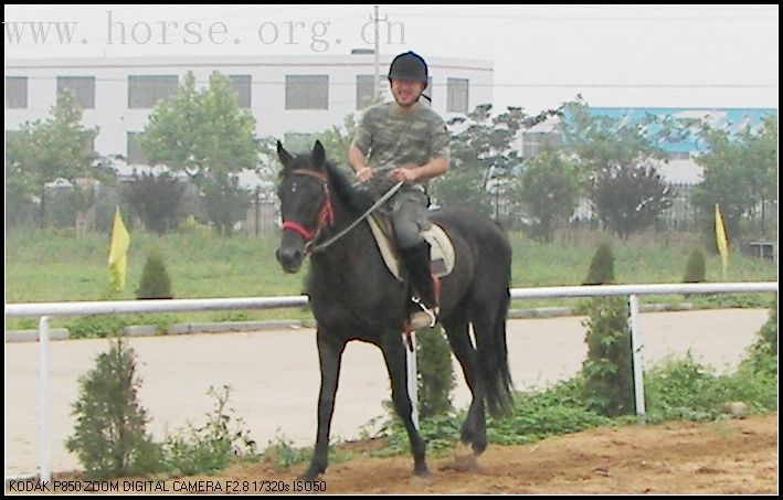 2007.7.26日想去锡林格勒草原....