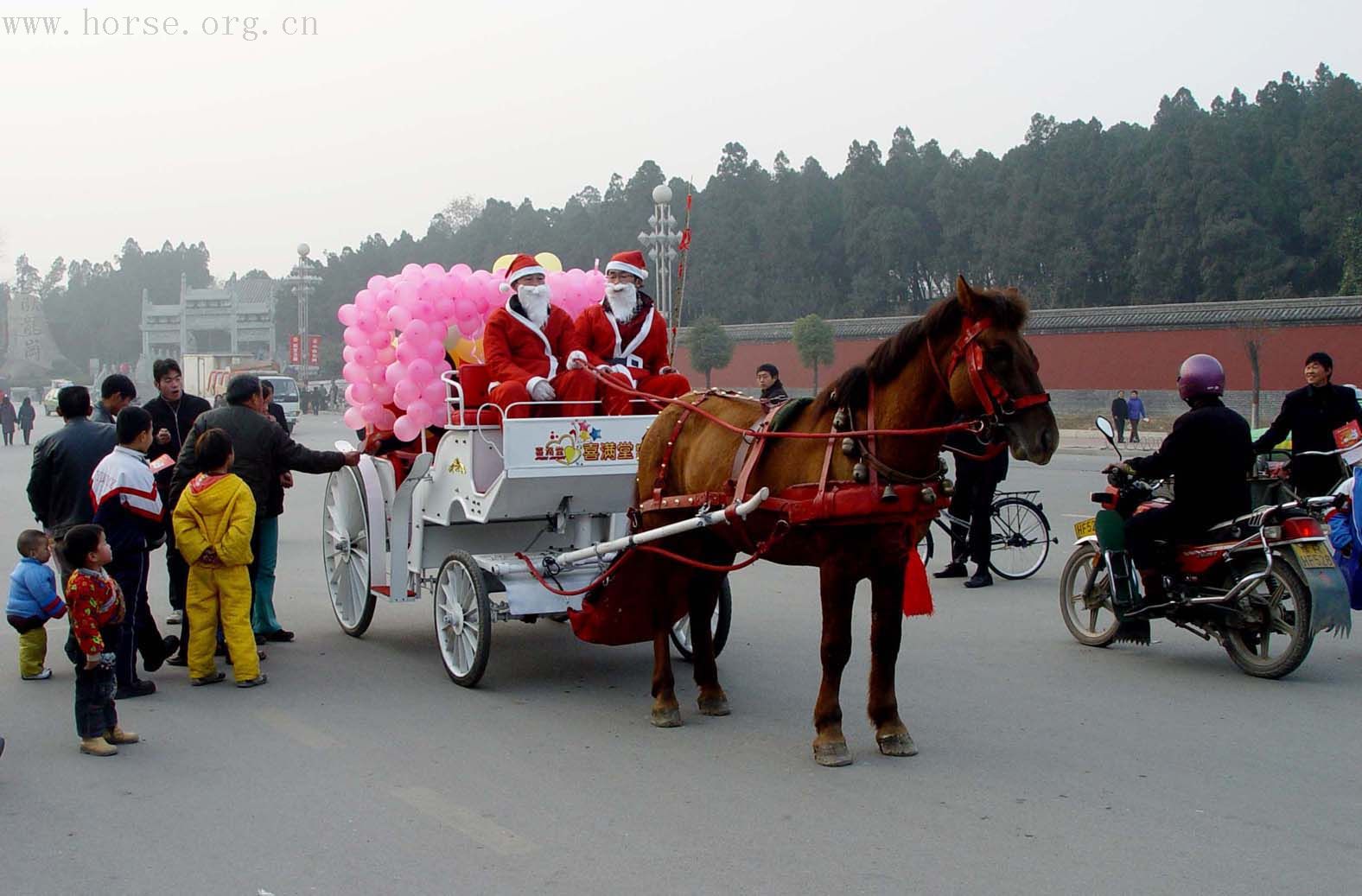 专业生产欧式马车,!旅游/结婚/拍摄