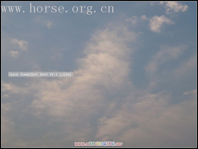 广州看马