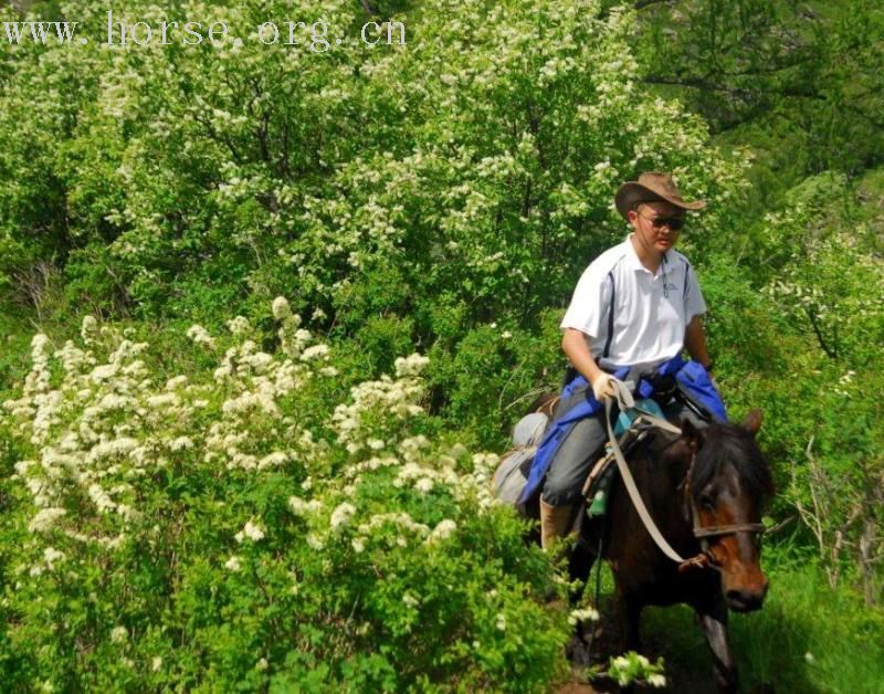 请chiefhorse把新疆穿越的经典图片发这里