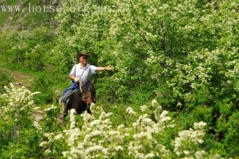 请chiefhorse把新疆穿越的经典图片发这里