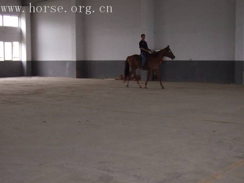 大雨滂沱挡不住骑马的豪情