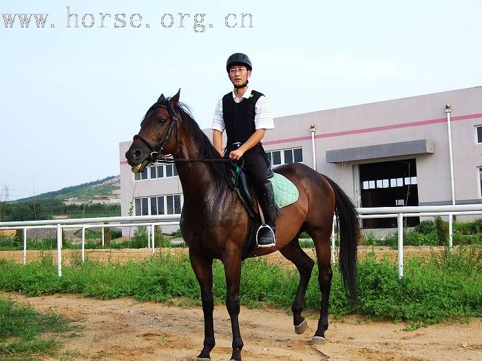 大雨滂沱挡不住骑马的豪情