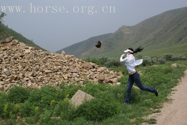 那达慕归来