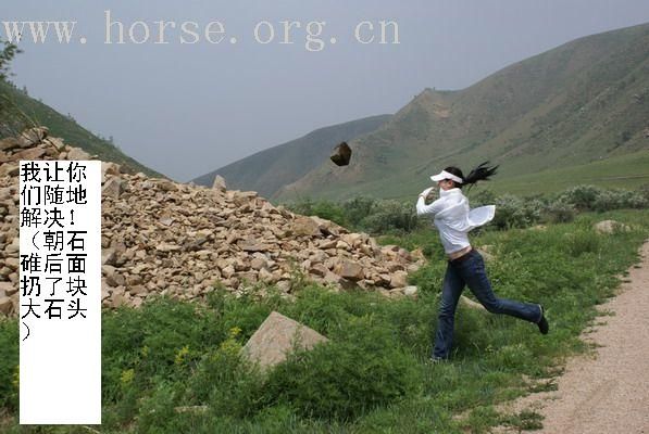 那达慕归来