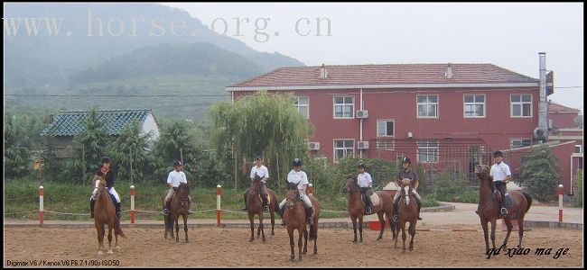 北京天星调良在青岛-----上山下海.