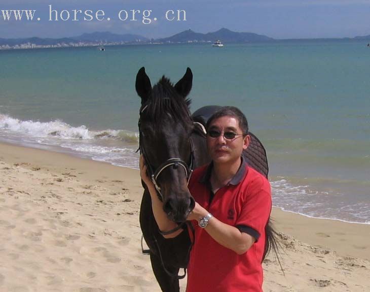 [贴图]有一种希望叫期待－－期待着青岛夏天海里骑马