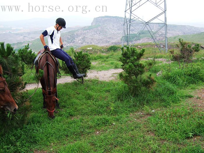 [贴图]有一种希望叫期待－－期待着青岛夏天海里骑马