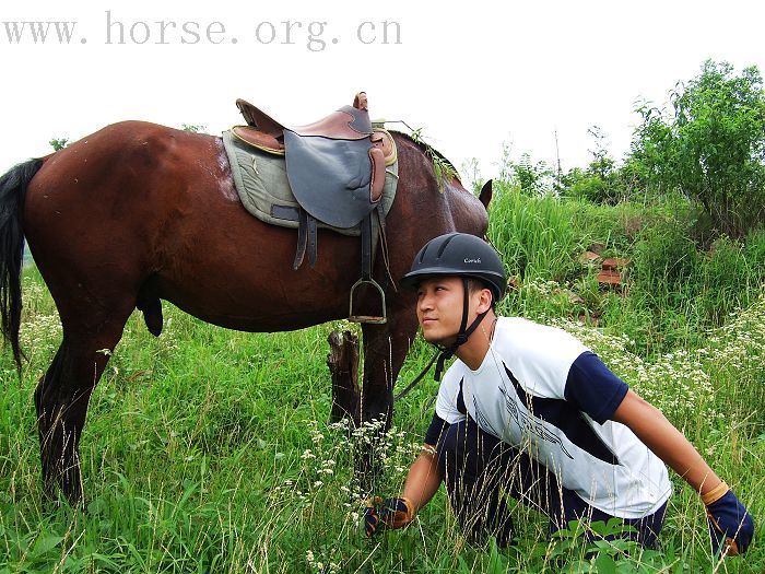 [贴图]有一种希望叫期待－－期待着青岛夏天海里骑马