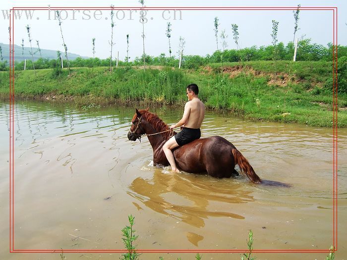 [贴图]有一种希望叫期待－－期待着青岛夏天海里骑马