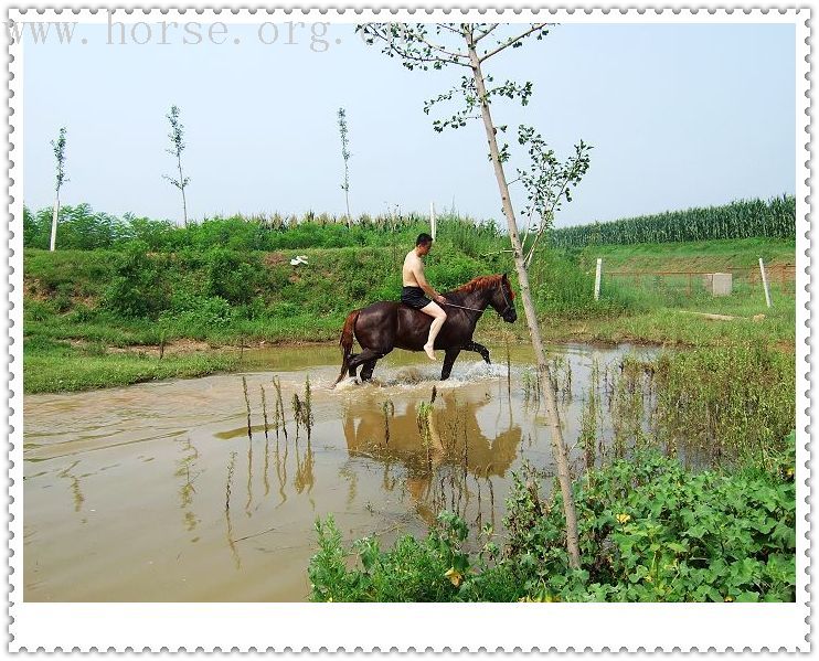 [贴图]有一种希望叫期待－－期待着青岛夏天海里骑马